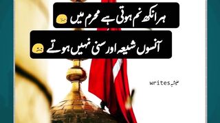 Muharram ul haram #arabculture #quotes #islamicname #hazratali #eiduladha2023 #muhammadislam #love