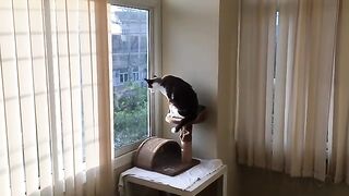 Watching the World Go Bye