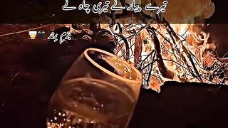 Nusrat Fateh Ali khan 7