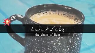 *ہلکا ہلکا سرور استاد نصرت صاحب* ❤‍????  کیا آپ چاۓ پیتے ہیں ????  *ہاں* ❤️ *نہیں*.