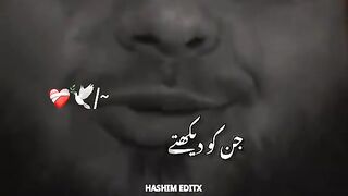 Islamic video 480
