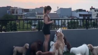playing with my beloved dog
