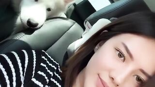 Walk with the dog