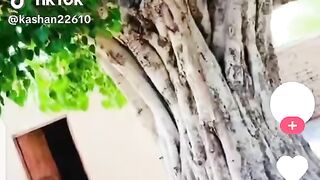 Viral video 140