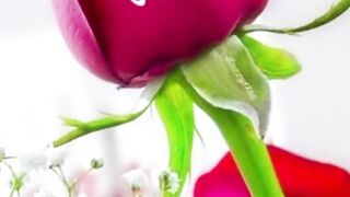 Allah name beautiful