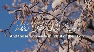 Tilawat e Quran 21