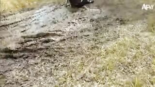 Funny videos 672