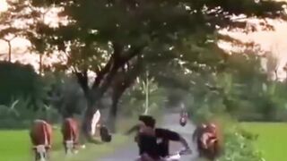 Bikin Netizen Geram! Video Pemuda Diduga Anak Pengusha Mebel di Jepara Ejek Kakek Pengembala Sapi