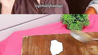 Nice video 356