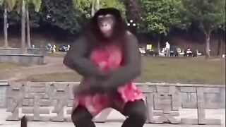 Funny video