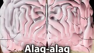 Nice video 373