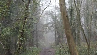 Should I watch you or the beauty of nature #music