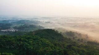Should I watch you or the beauty of nature #music