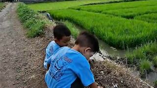 Baby funny 22