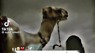 Gor say sony bari kam ki bat ha ????????????????????????????????????
