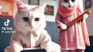 Larki hazarat  kay liya khas video ????????❤️❤️❤️????????????????????????