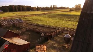 Smallville 2