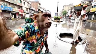 AI Monkey Shows Karachi After Rain LOL! ???? (Pakistani & Desi Meme)