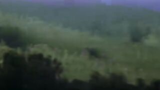 Kumar Sanu & Alka Yagnik _ Mera Dil Bhi Kitna Pagal Hai _ 90s Song _ Sanjay Dutt - Madhuri