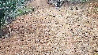 Perkebunan 2
