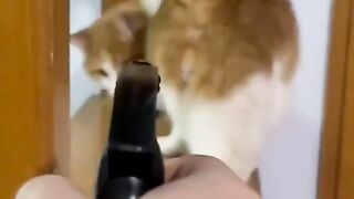 #FunVideo 115