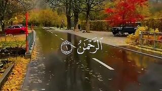 Tilawat e Quran | Islamic