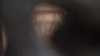 Os Irmãos Cane