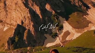Pakistan beauty 8