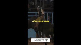 motivaçaodiaria