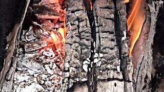 Fireflame status _ sad status