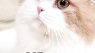 Do you Love me??????