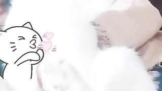 Cat music