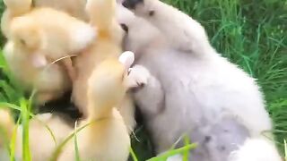 Friendship