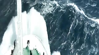 Dangerous ???? ☠️ in Sea ????