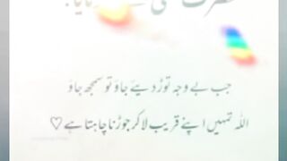 beautiful lines