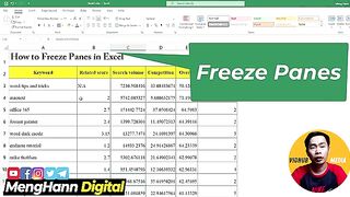 Freeze Panes in Excel - How to Use Freeze Panes Options in Excel(360P)
