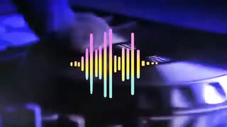 Cats funny singing songs. Fun