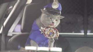 Cat cop chase. Funny