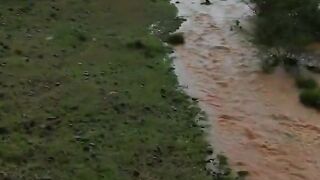 سورۃ الانعام    قاری شیخ محمد الجوعي