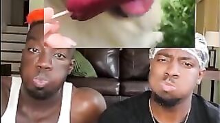 Try not to laugh ???? animals editon