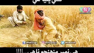 Sindhi very funny voice must watch with labe ????