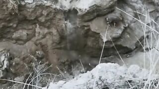 Very Cool video ????