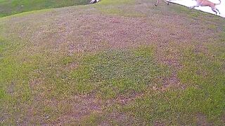 Viral clips 2023 dog attack children