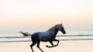 Horse fast running #short #video