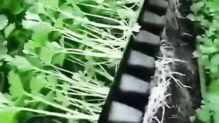 Nice video 383
