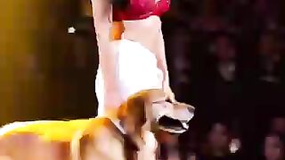 I Can’t Believe This Dog is Dancing!