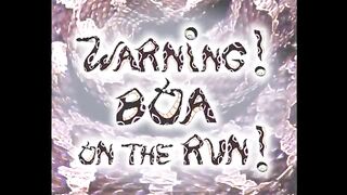 Oggy and the Cockroaches -  (s02e33)