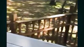 Funny video