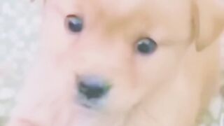 Nice funny video ???????? 2