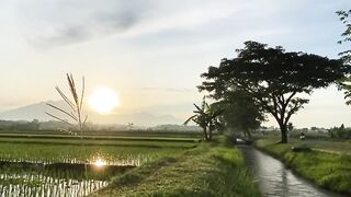 morning atmosphere